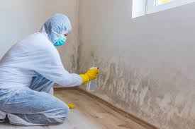 Best Mold Prevention Services  in Verona, PA