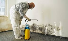 Best Mold Remediation for Healthcare Facilities  in Verona, PA